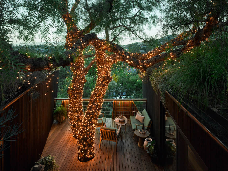 胡椒树被动式房屋丨澳大利亚丨Alexander Symes Architect-25