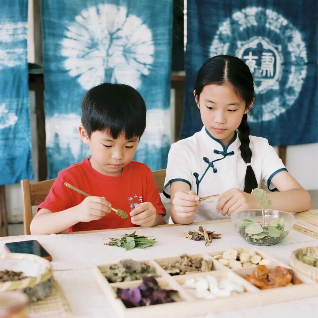 【道地芳园】百亩中草药主题亲子研学疗愈营地规划与运营方案-72