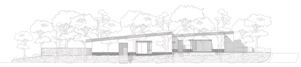 Malvas 59住宅丨墨西哥丨Estudio Radillo Alba-48