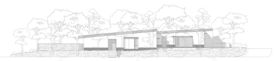 Malvas 59住宅丨墨西哥丨Estudio Radillo Alba-48