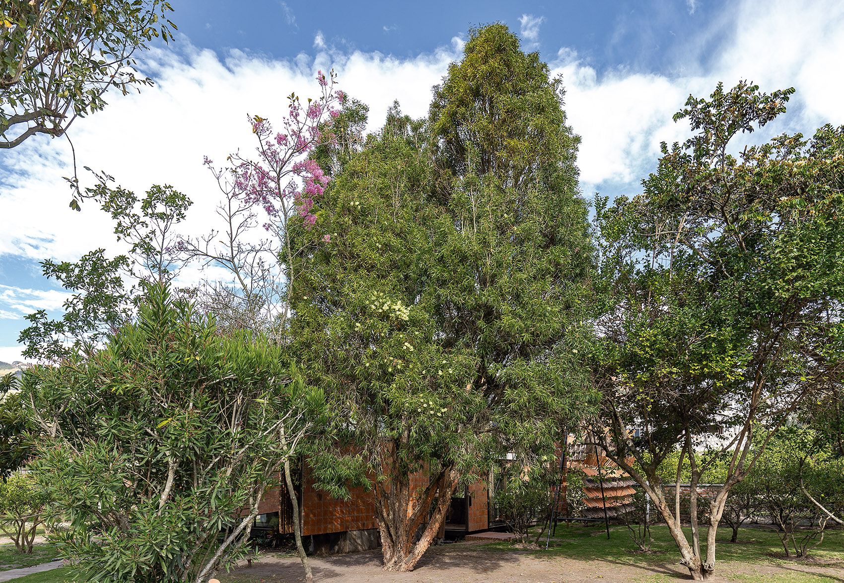 飞瓦住宅，厄瓜多尔 / Daniel Moreno Flores-99