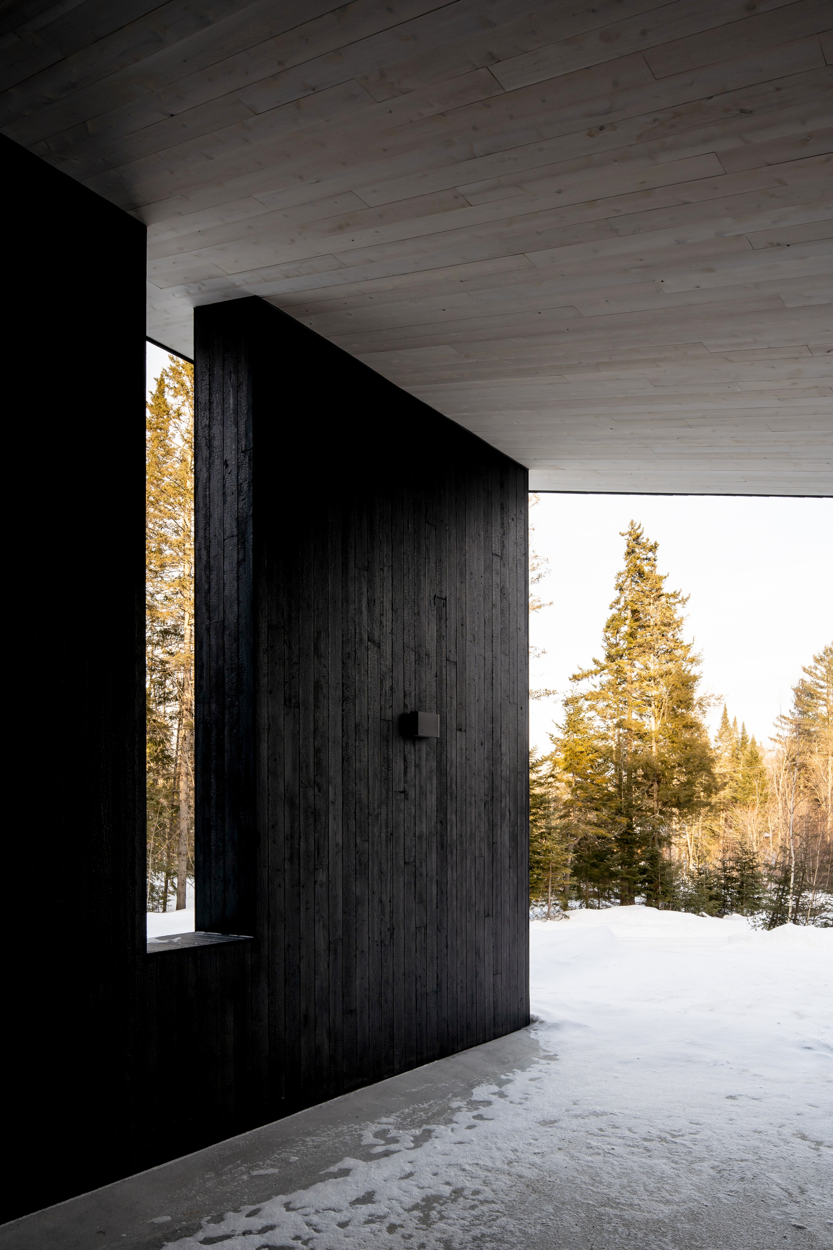 加拿大森林中的艺术创作绿洲丨Nicholas Francoeur-17