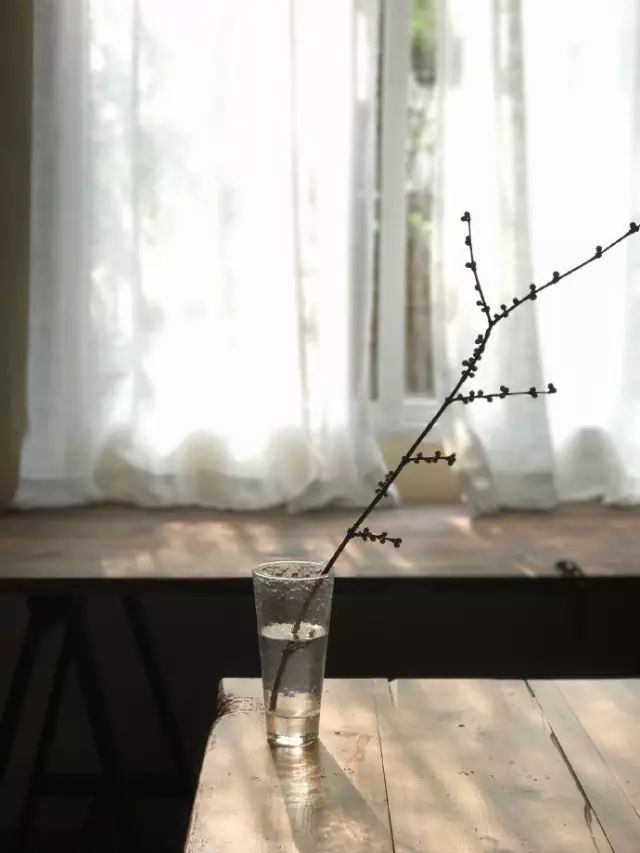 把一个破烂小院，爆改成中国风的入云屋，凉亭、枫树、竹篱笆......-240