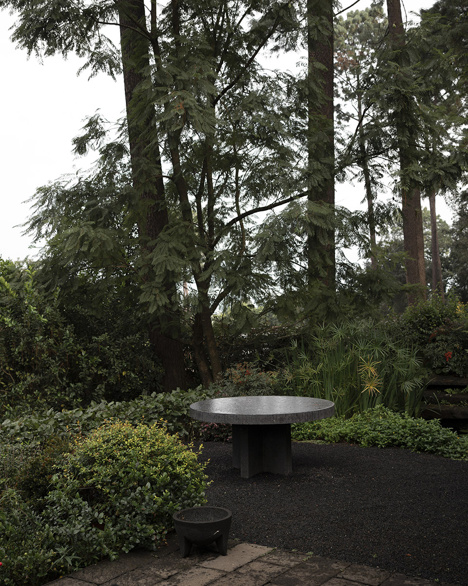 林中之屋丨墨西哥丨direccion-8