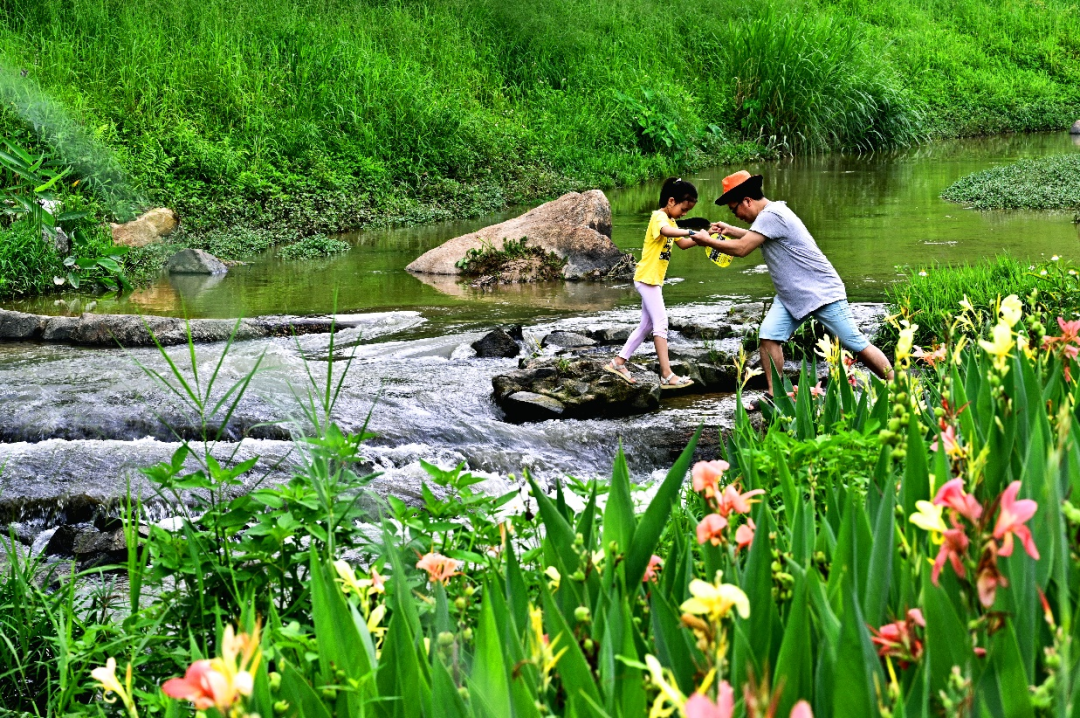 广州南岗河生态修复项目丨中国广州丨AECOM团队-45