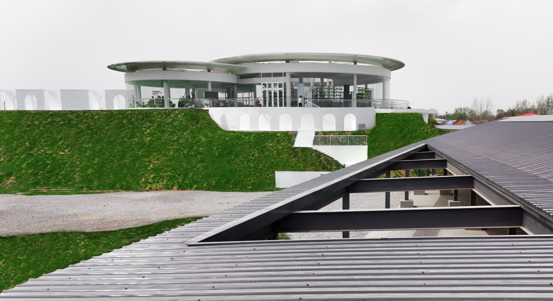 青来计划·蘑菇点灯，让每一座乡村找到自己的光|中青博纳|印文设计-37