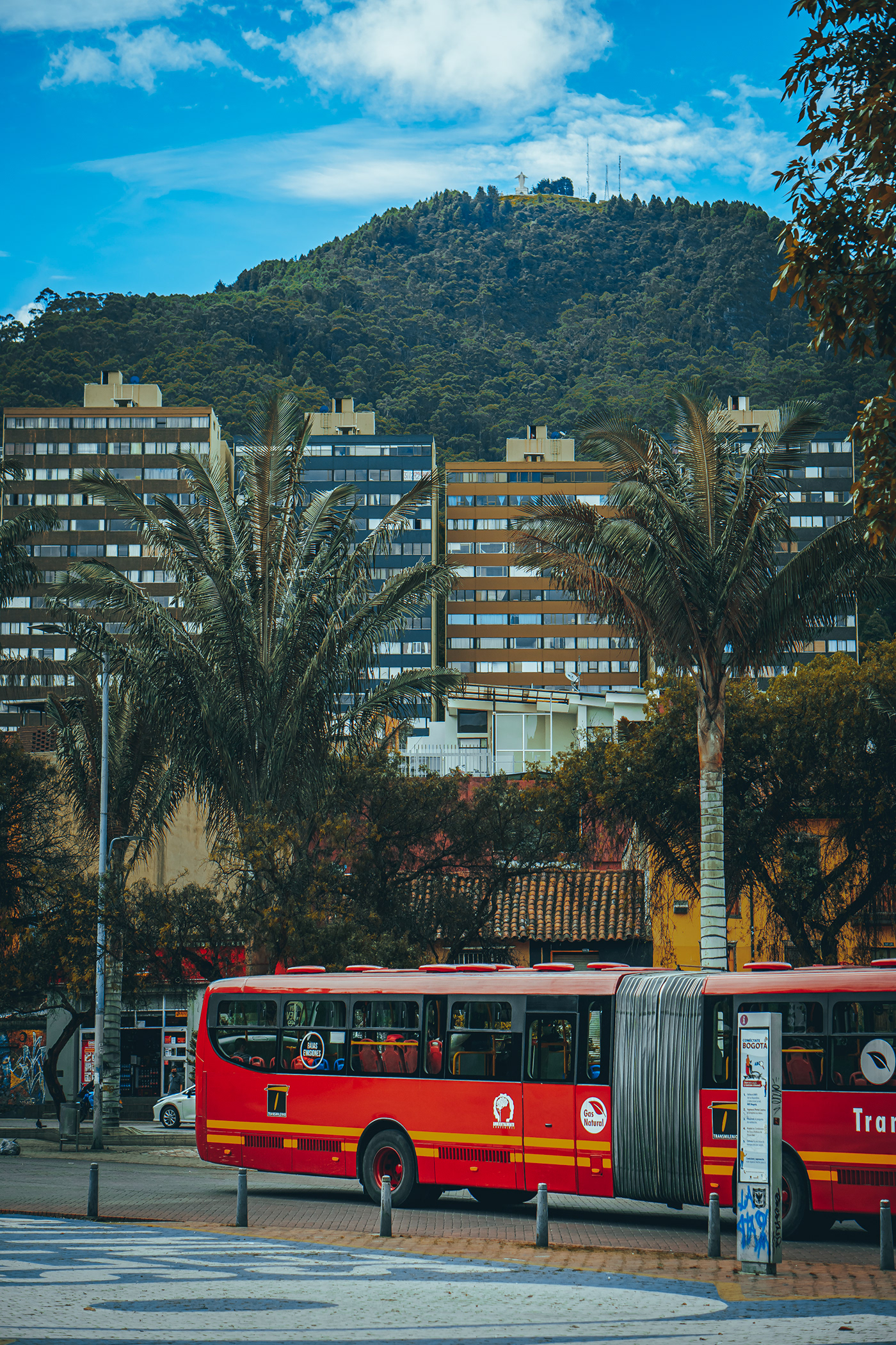 哥伦比亚波哥大“环境轴”街头景观设计-5