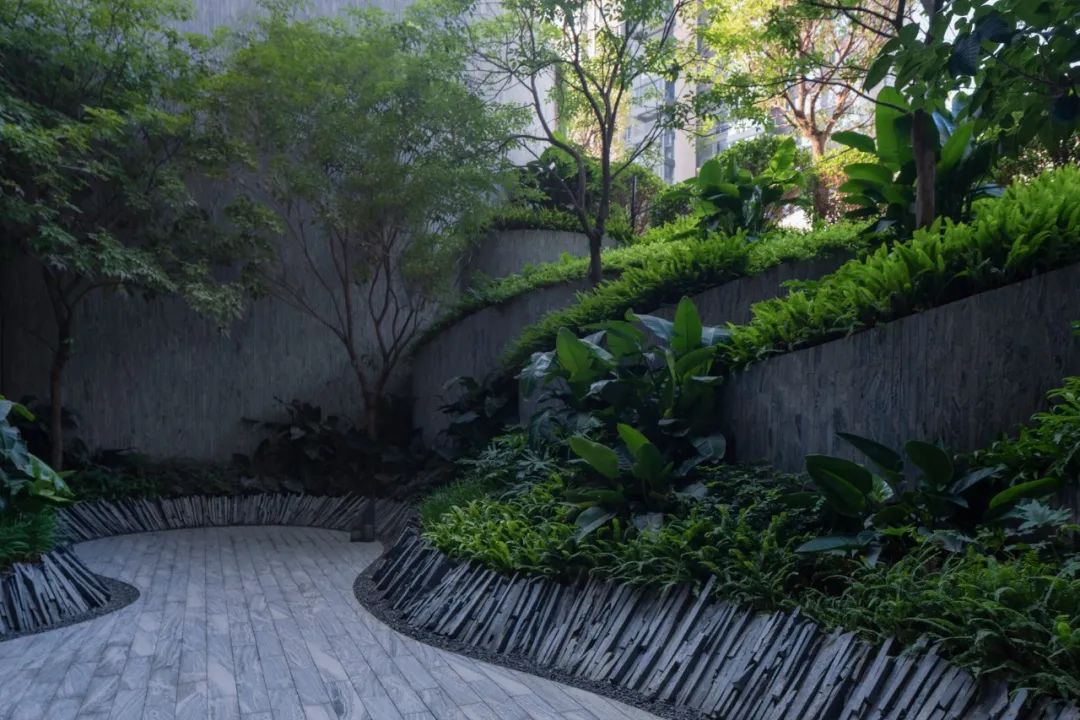 仁恒深圳公园世纪三期丨中国深圳丨TROP景观事务所-42