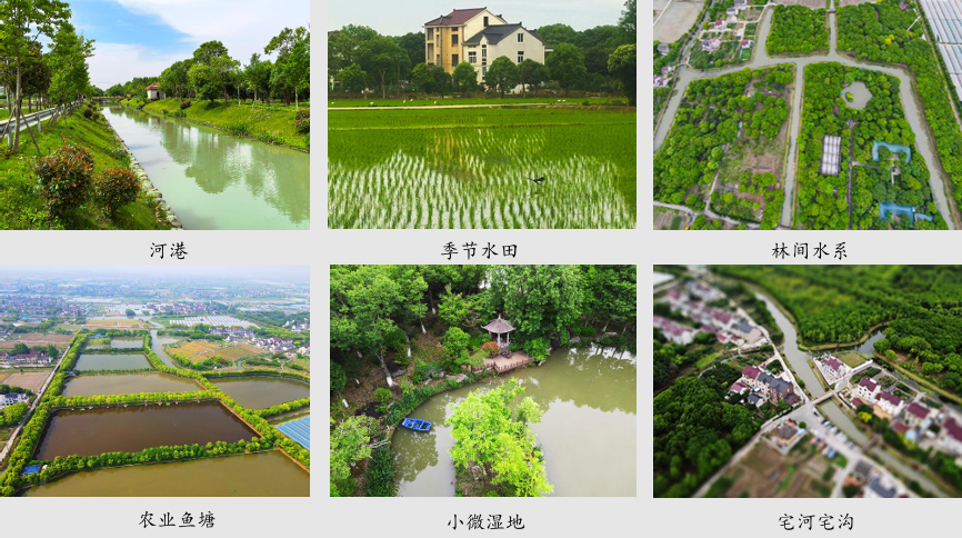 境作|沪派江南“三师联创”规划设计方案：浦江第一湾，田园新天地-61