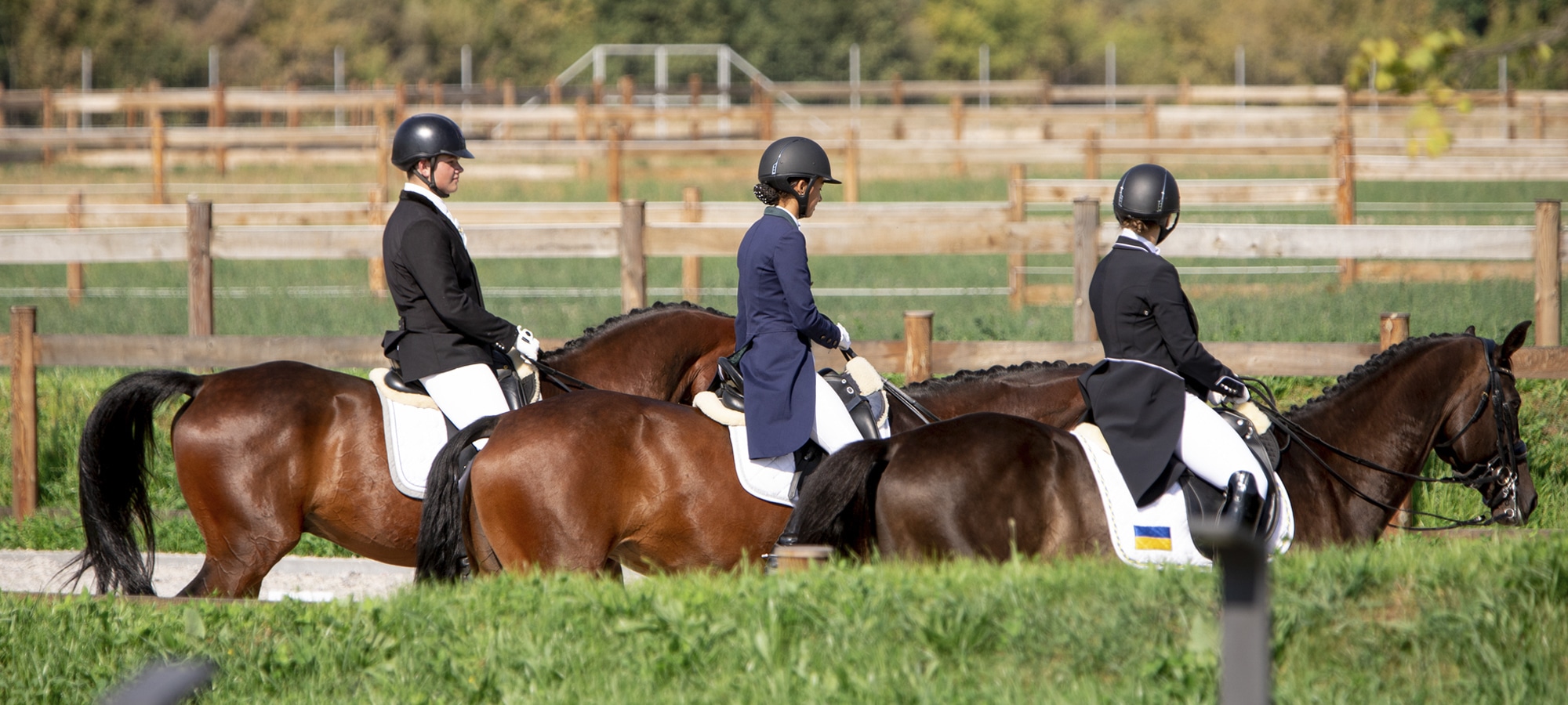 VG 马术俱乐部丨乌克兰哈尔科夫丨Oleg Drozdov 等-42