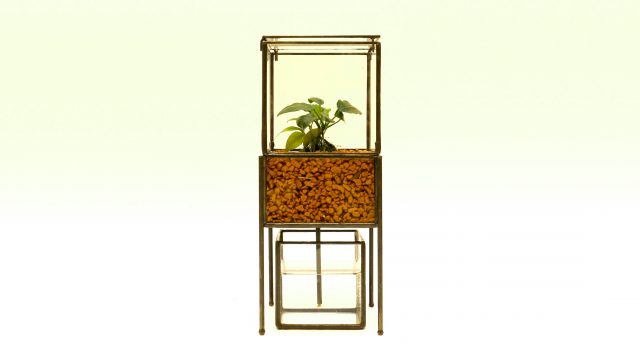 HYGRO STAND Ⅱ湿生植物专用种植架更新项目丨PLANTS DESIGN（代表:マックス（竹内一馬））-3