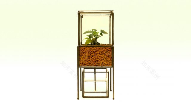 HYGRO STAND Ⅱ湿生植物专用种植架更新项目丨PLANTS DESIGN(代表:マックス(竹内一馬))-3
