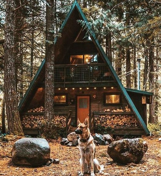 现代且经济实惠的A字框架房屋设计-7