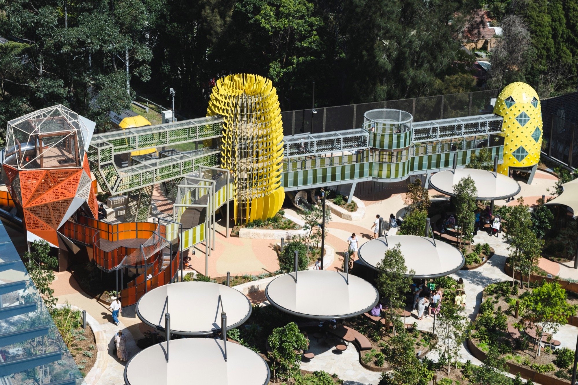 澳大利亚瓦当加里公园丨阿卡迪亚-38