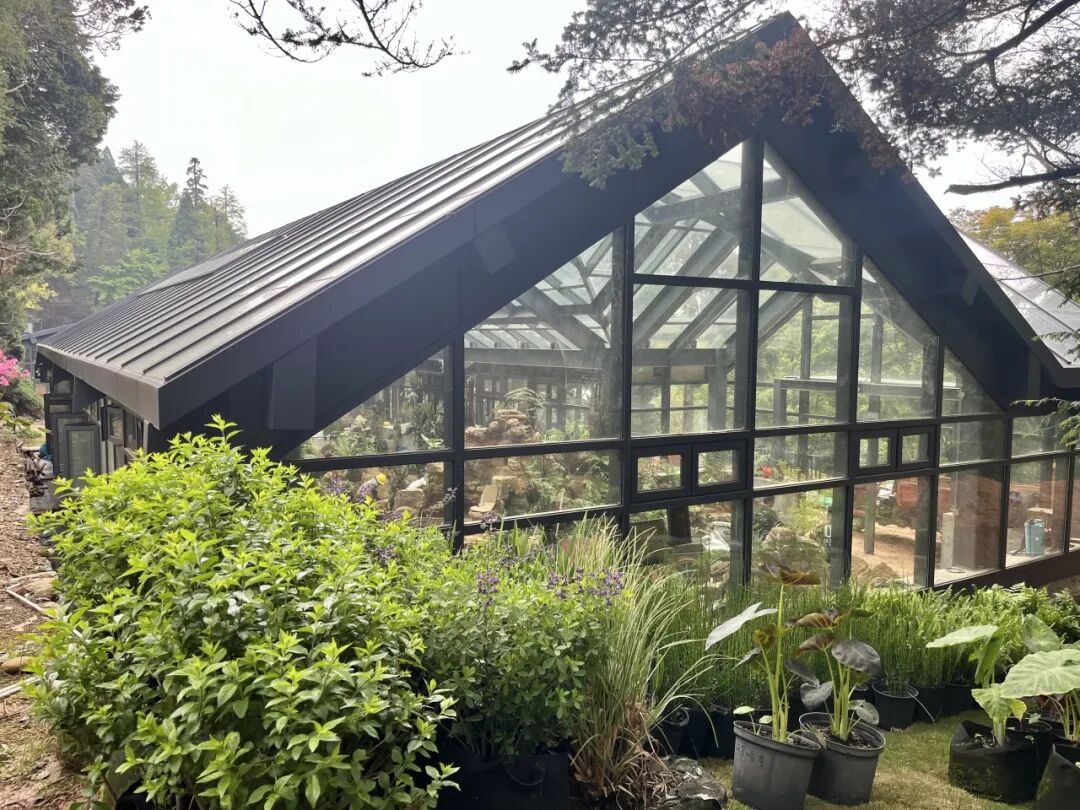 庐山植物园基础设施提升改造项目圆满竣工！-38