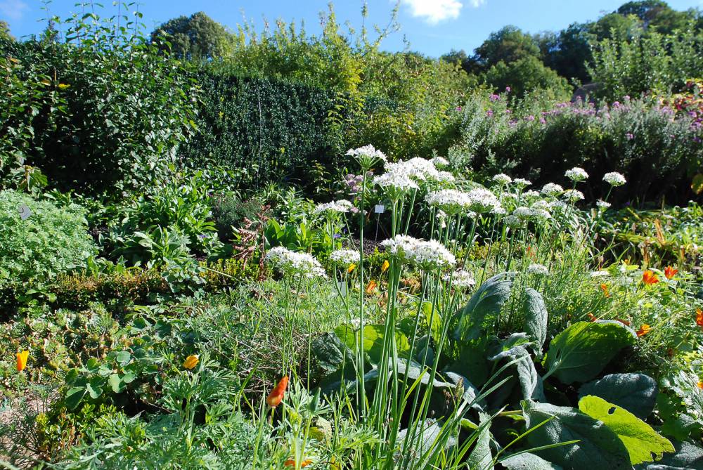 Revermont菜园和果园博物馆丨法国-8