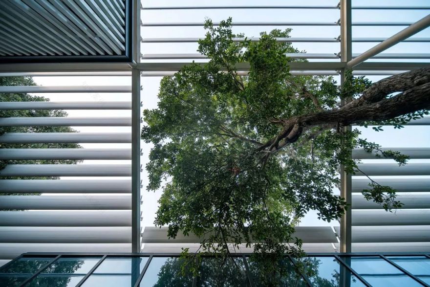 新苏集团研发中心——自然与人工的和谐共生-45