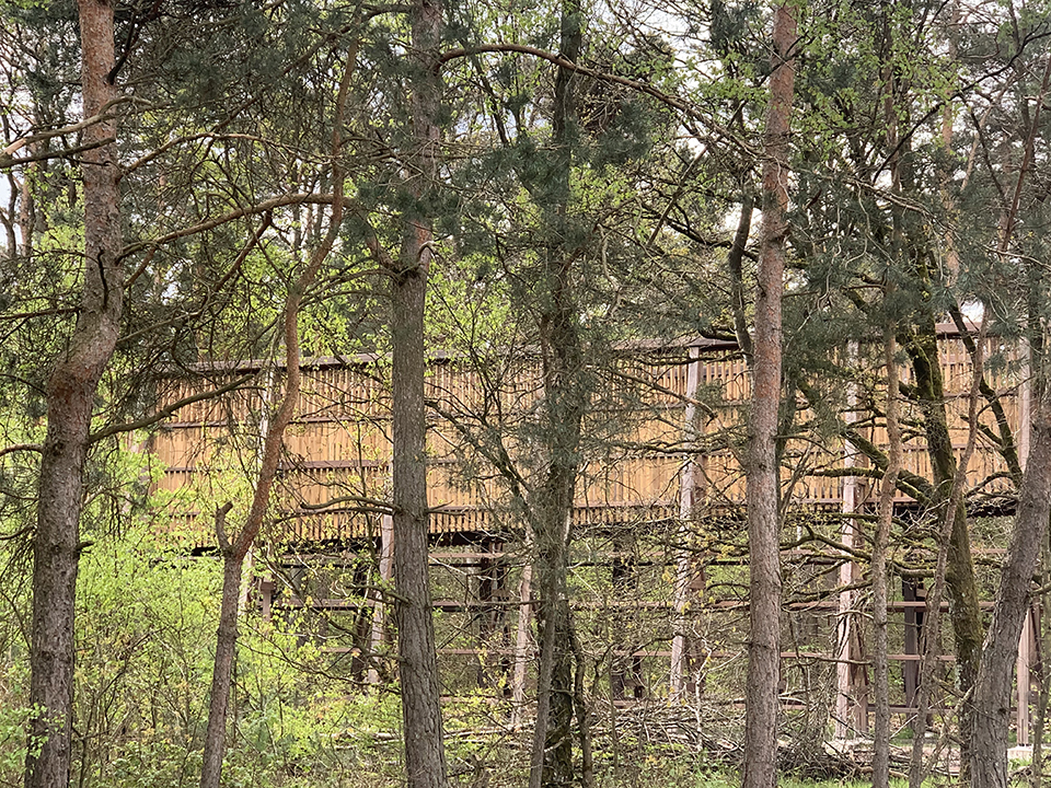 穿越石南荒原的自行车道丨比利时林堡丨Maatontwerpers 与 Witteveen+Bos 合作-59