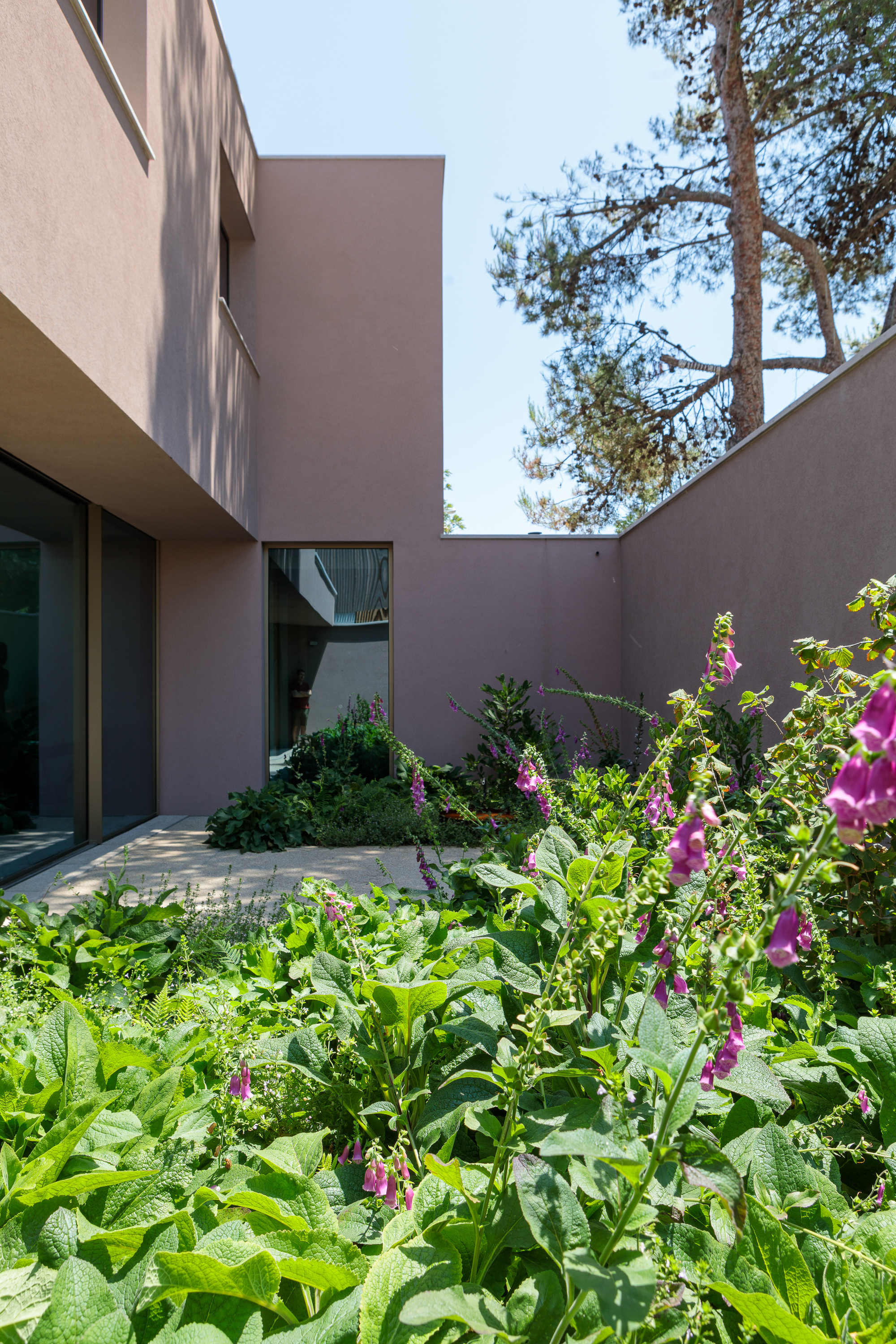 卡伊亚斯的房子丨Portugal丨João Caetano Arquitetura-11