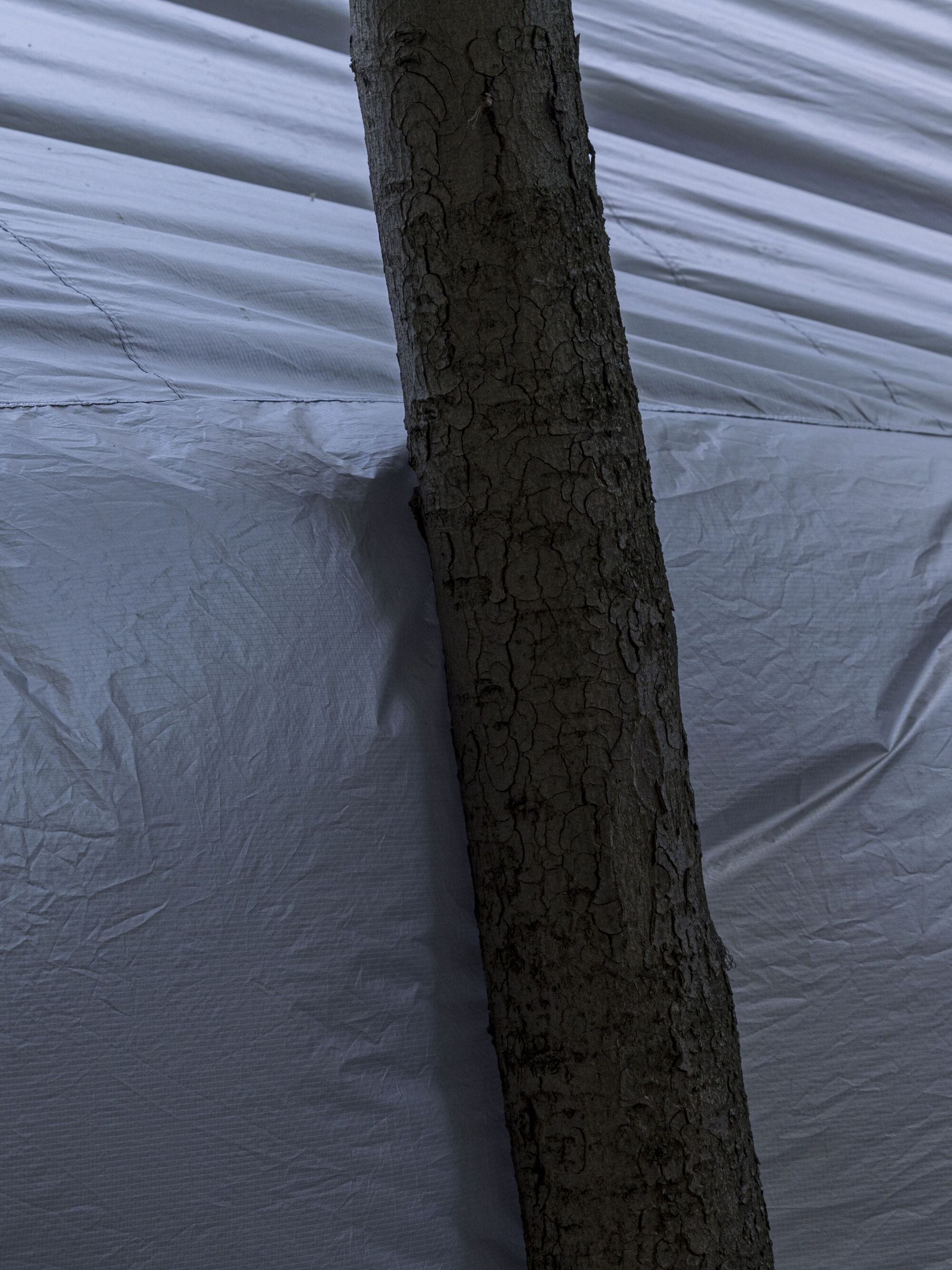 丨西班牙丨Daryan Knoblauch-28