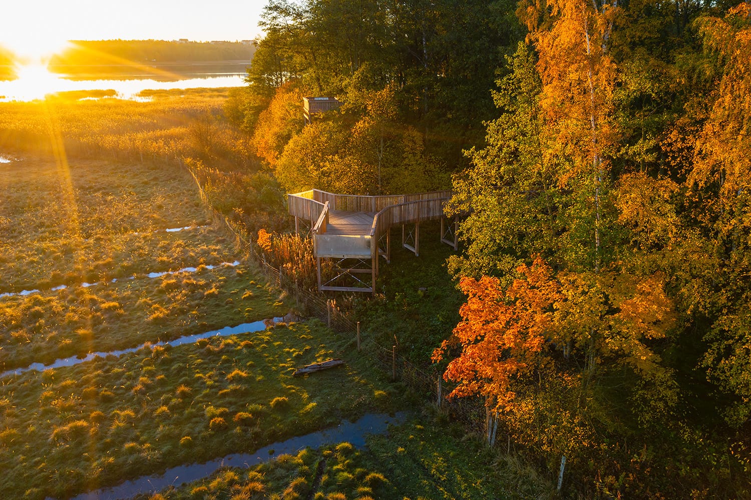 Nattours 无障碍休闲路径-10