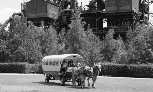 “老虎与乌龟”丨德国丨德国艺术家乌尔里希·根茨和海克·穆特-61