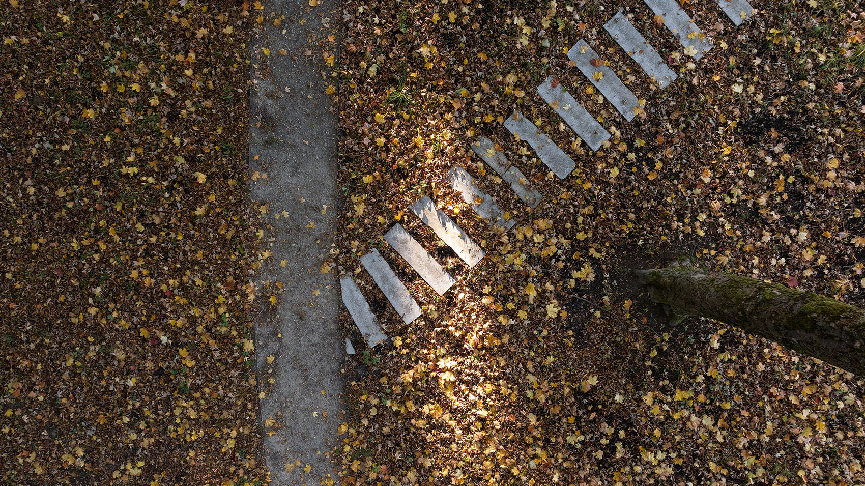 Aš镇纪念公园，捷克 / SOA architekti & Ateliér KONCEPT-48