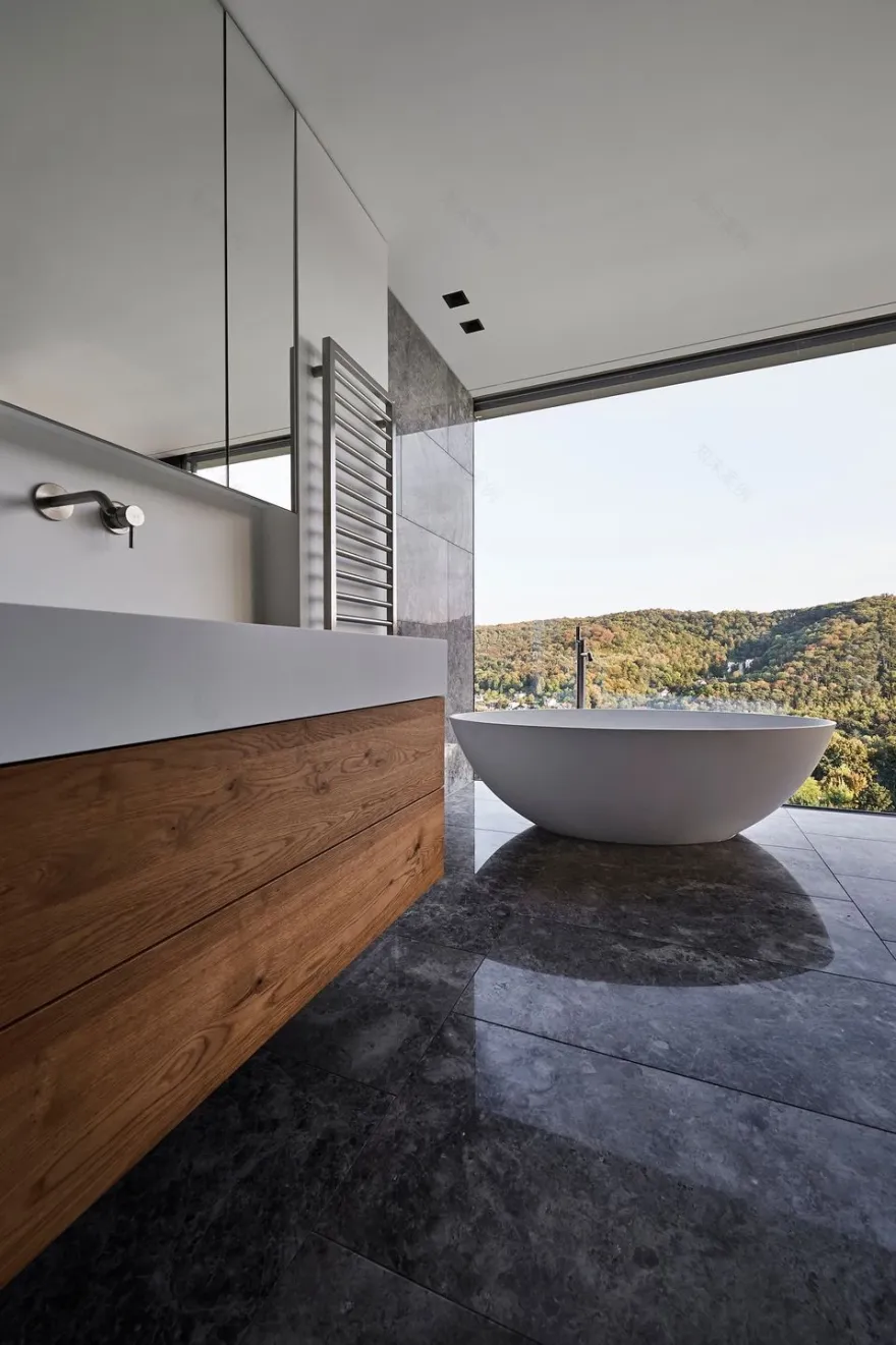 维也纳郊外森林中的“宽屏”之家-26