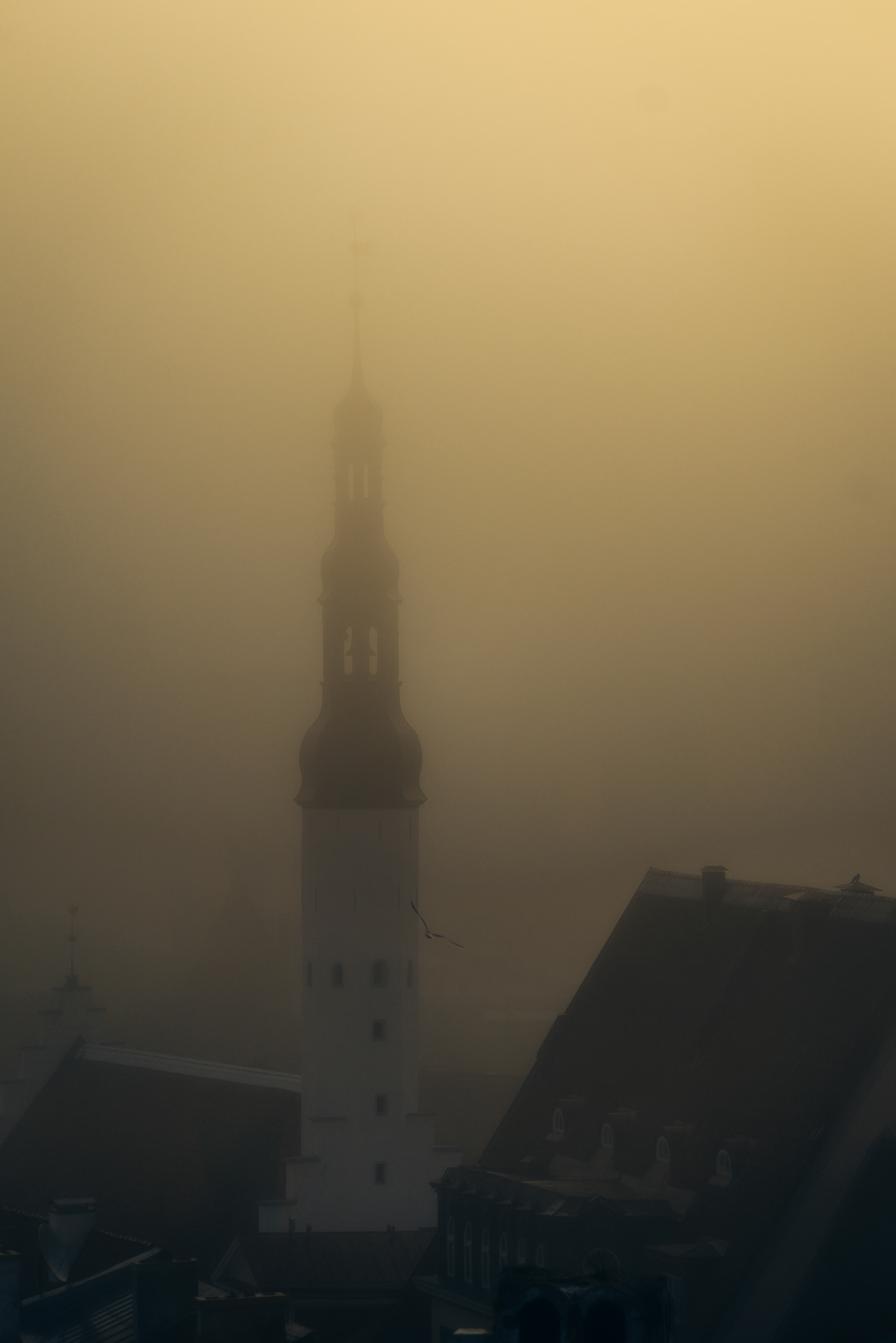 Tallinn Old Town 室内设计-16