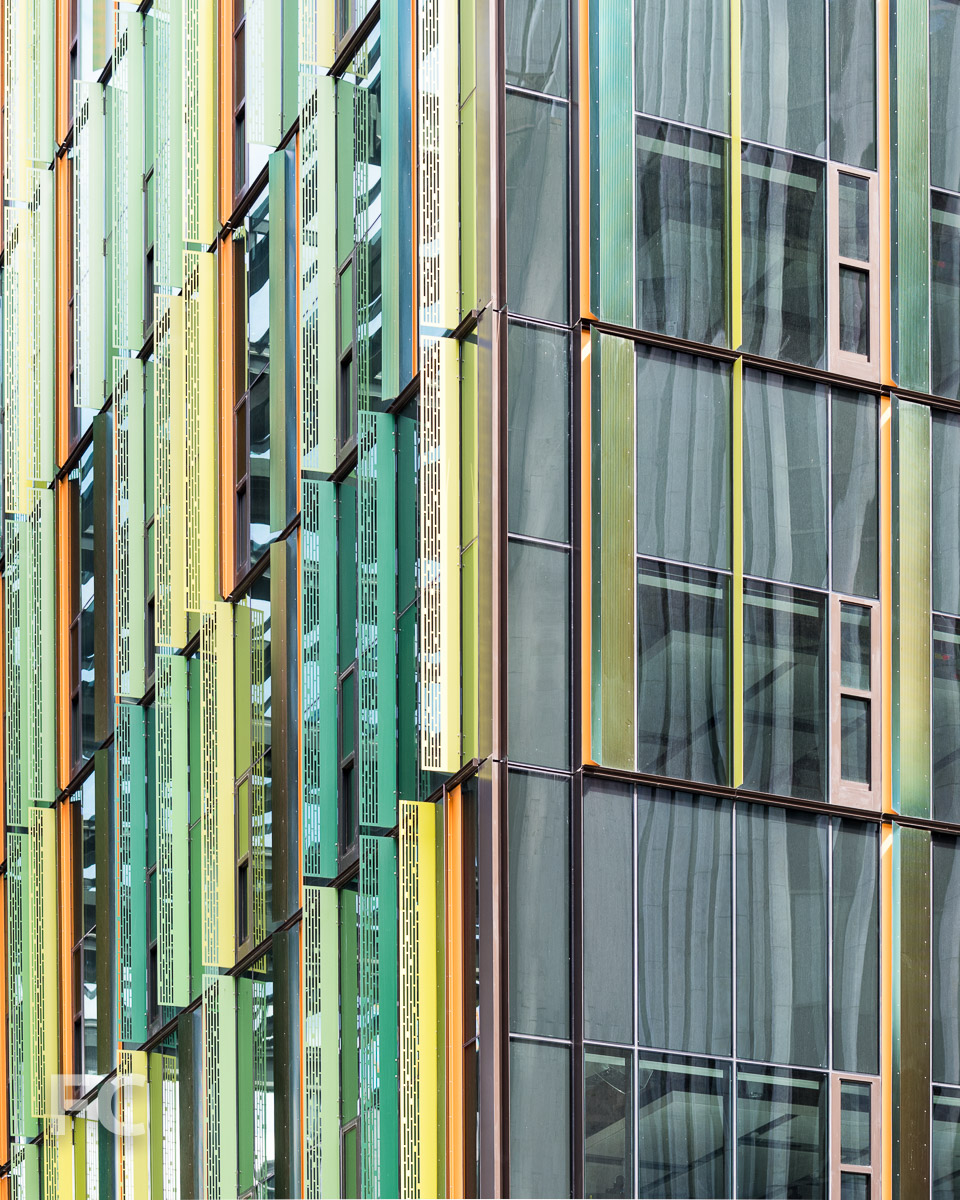 Amazon Headquarters Seattle — FIELD CONDITION-5