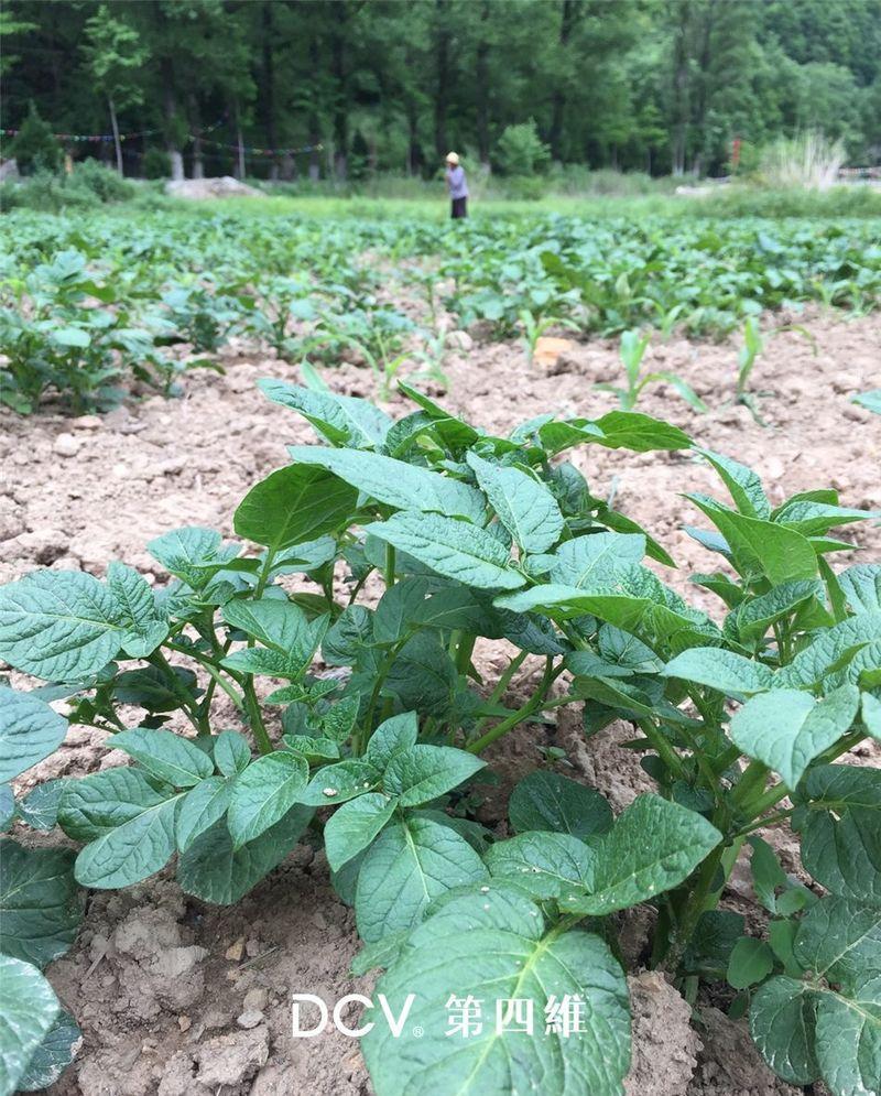 南山里民宿酒店-106