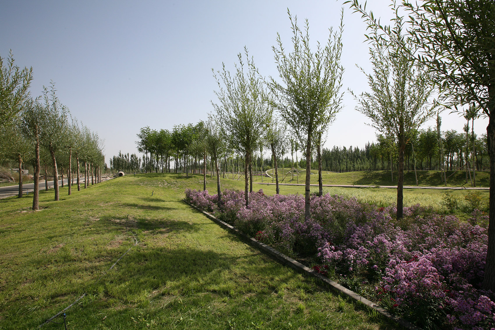 新疆巴州和硕团结公园丨中国新疆丨Rland 源树景观规划设计事务所-9