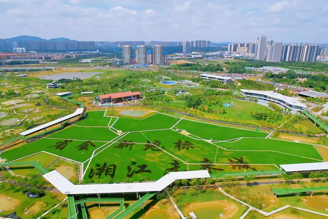 长沙人，周末+1！大泽湖近自然湿地公园惊艳亮相-23