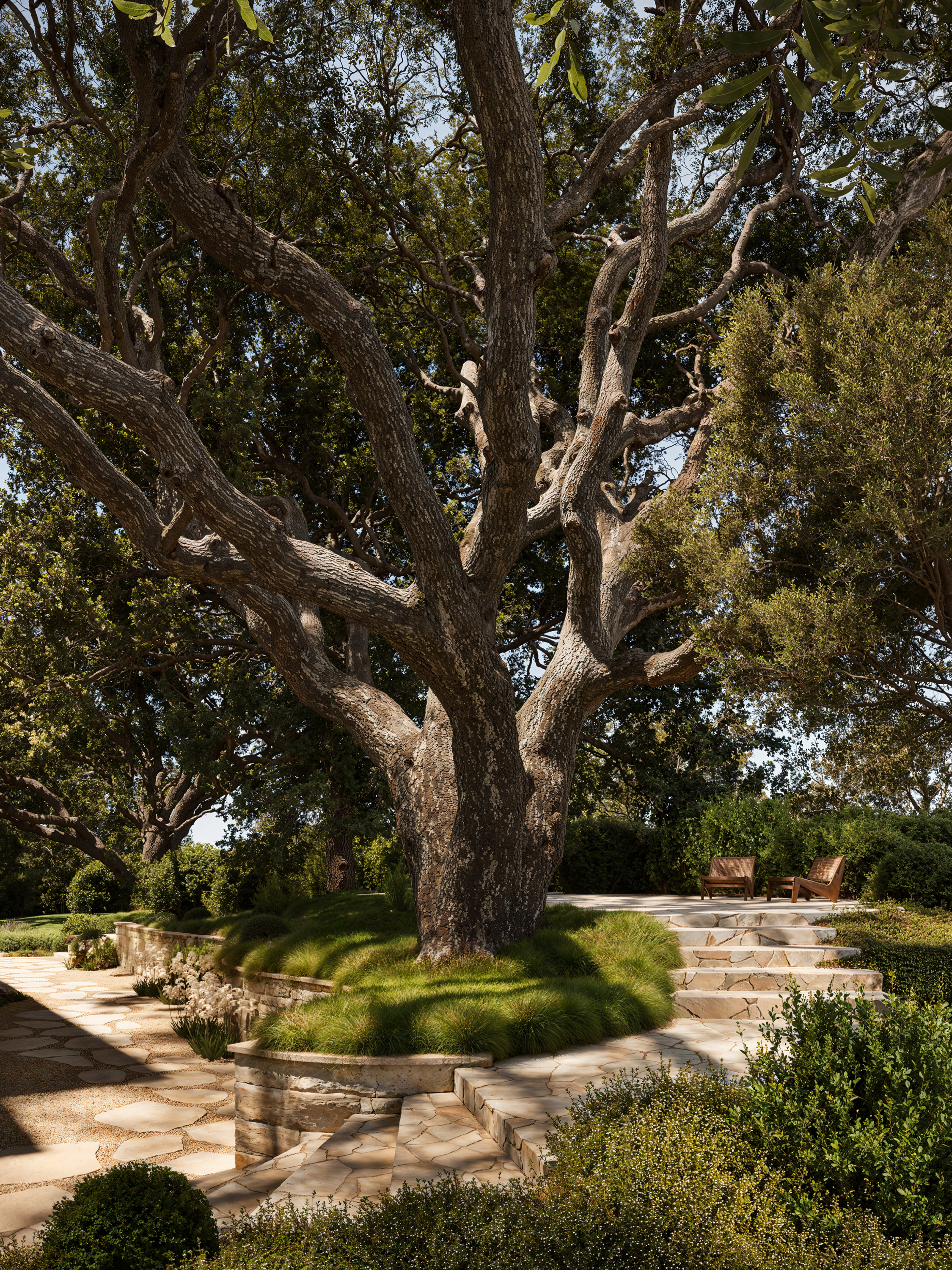 鞍桥丨Colega Architects-11