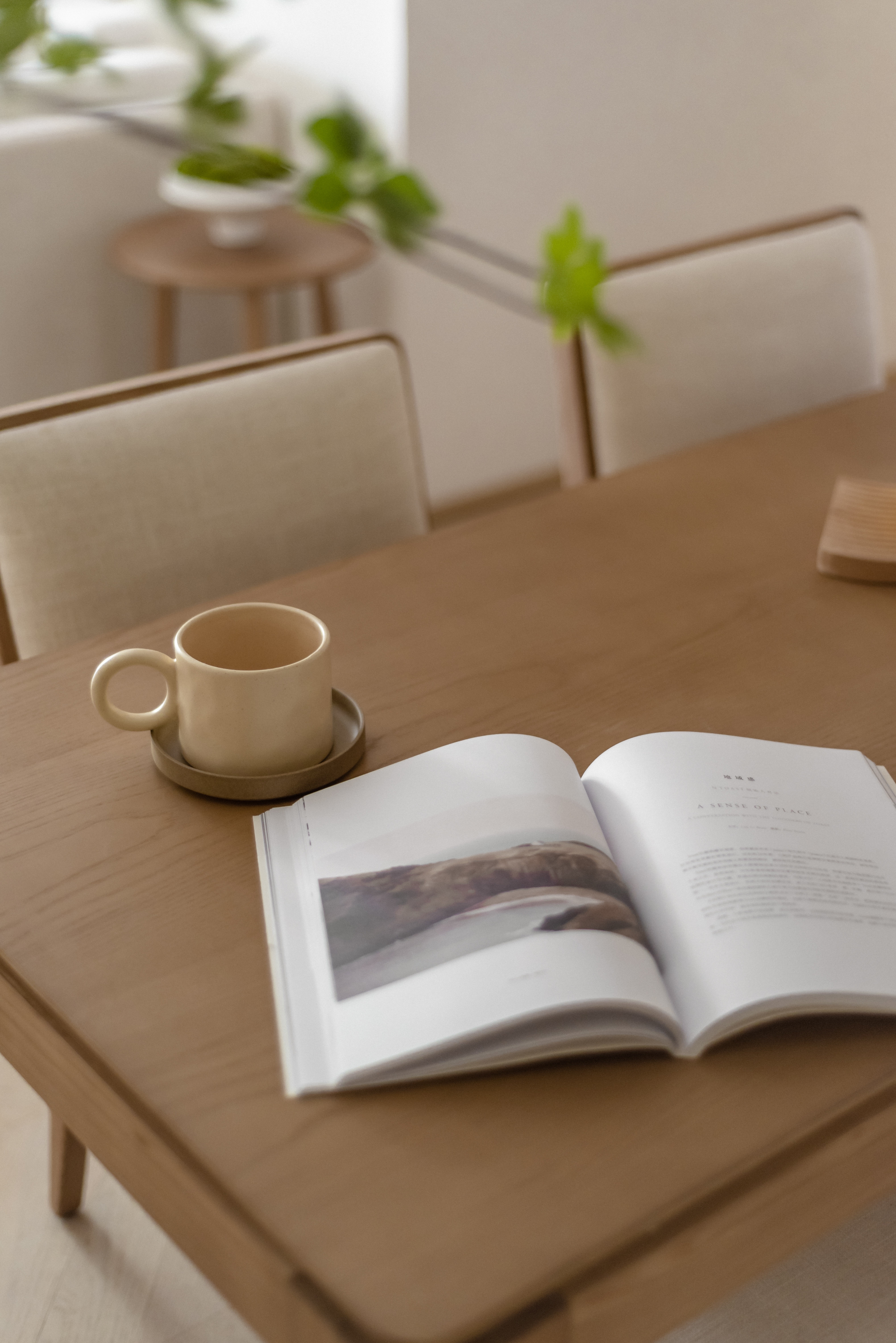 美纵设计| 融创云南 澄江蔚蓝城36.5℃住宅产品样板房 79-1