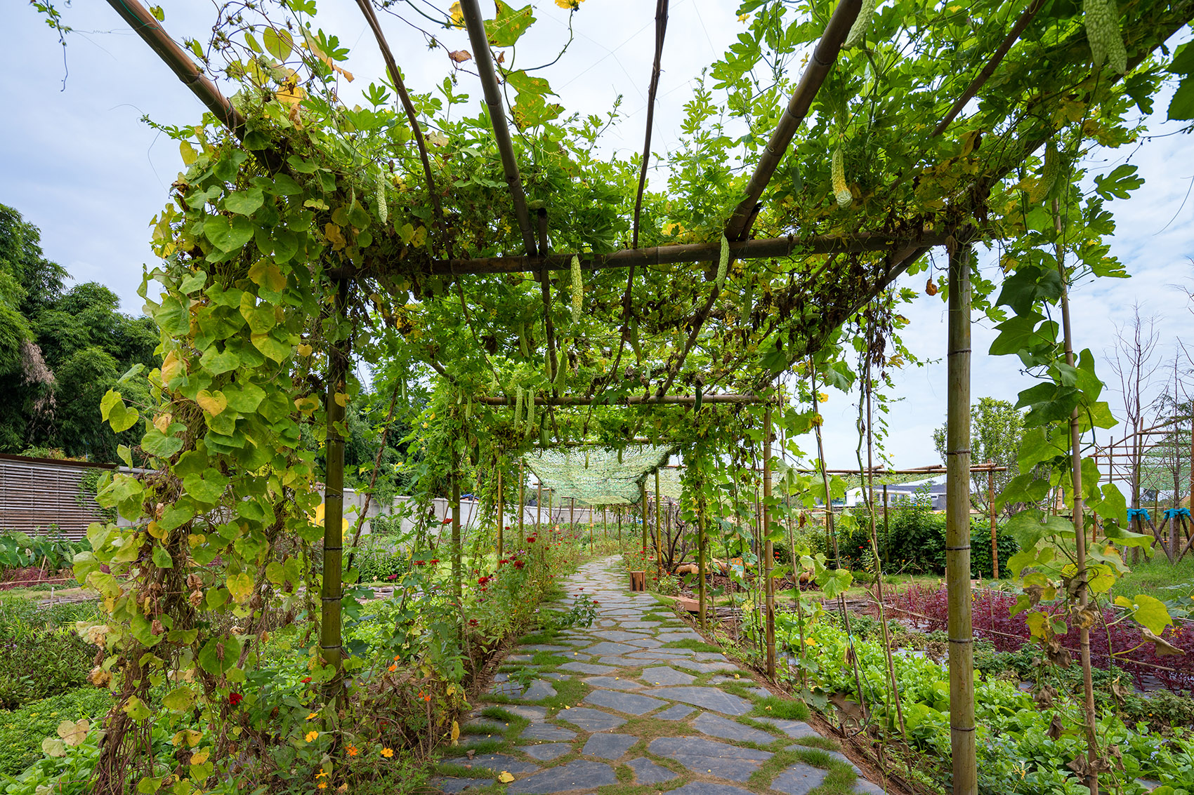 成都新希望种子乐园丨蓝海景观-140