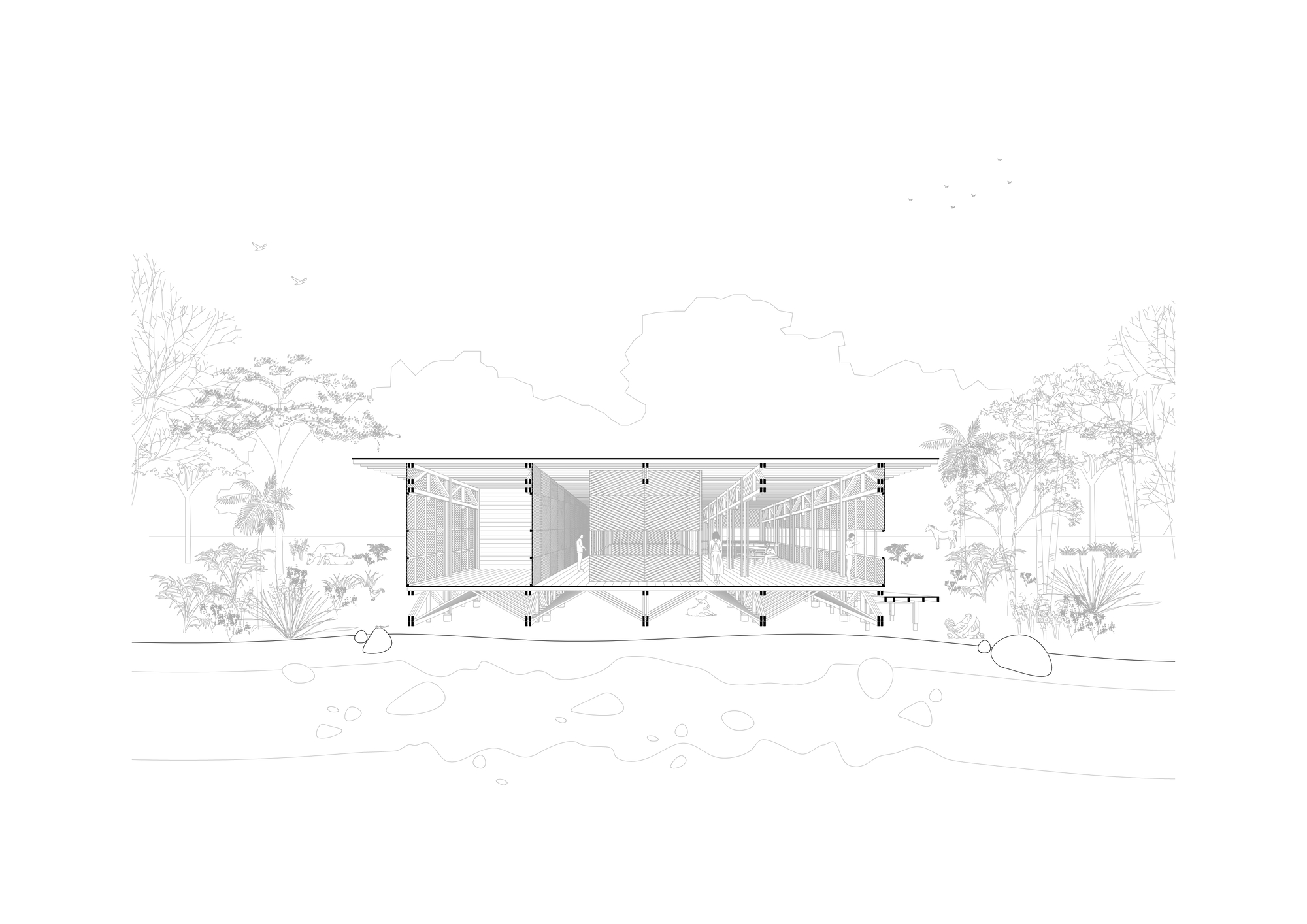 神圣的亚瓦纳瓦村丨巴西丨Rosenbaum-35