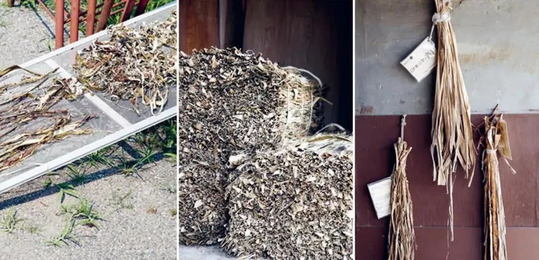 竹谧·隈研吾 | 自然与建筑的诗意共生-70