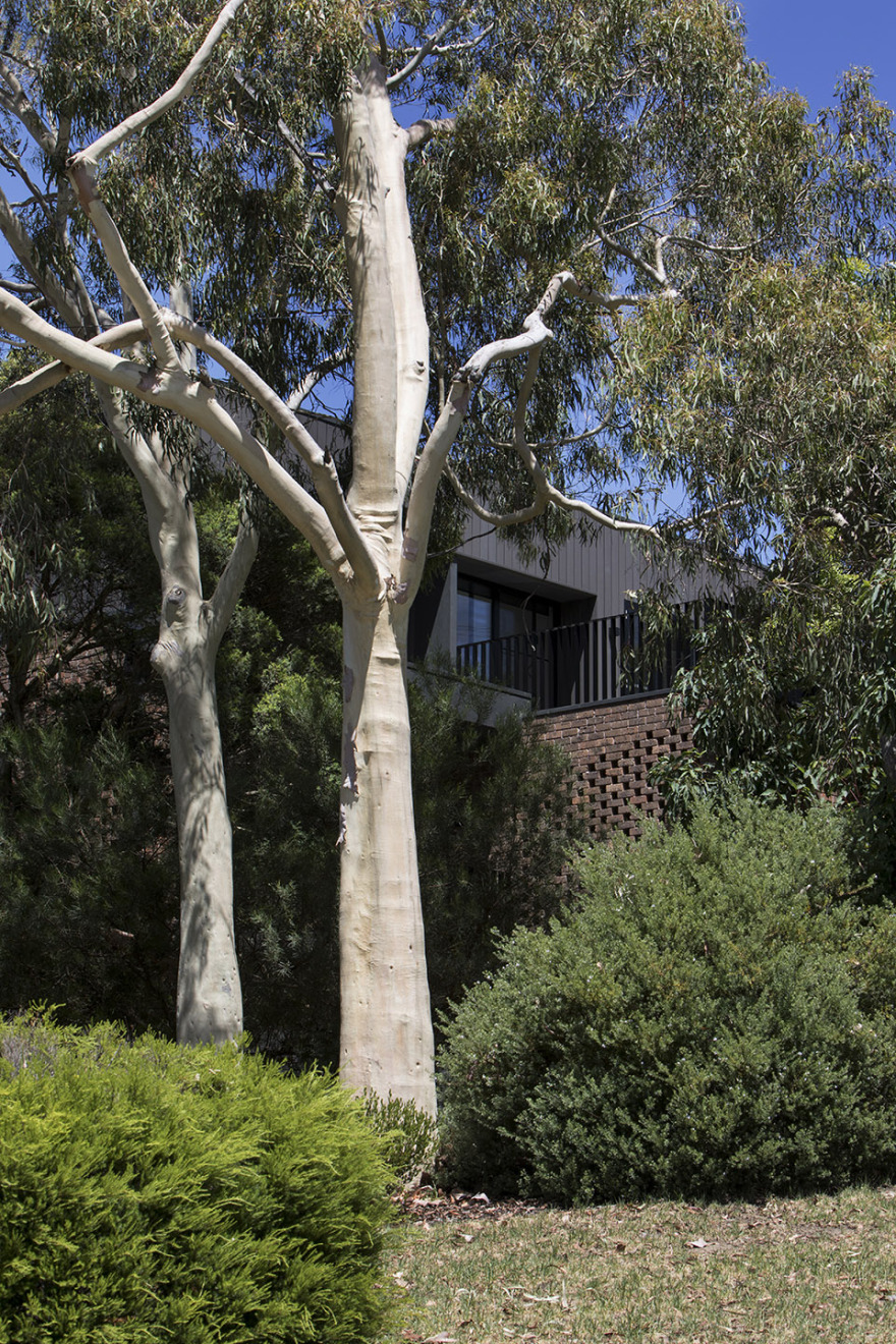 Ruffey湖边住宅,墨尔本 / Aldona Pajdak+Steph Richardson+John Liu-54