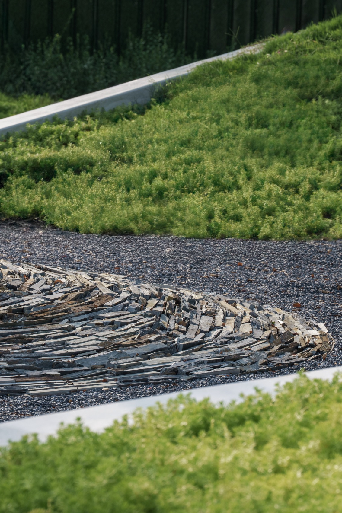 常州合全药业研发园区景观设计丨中国常州丨上海易栖建筑设计有限公司-87
