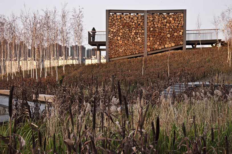 Qunli Stormwater Park（群力雨水公园）丨中国哈尔滨丨Turenscape-23