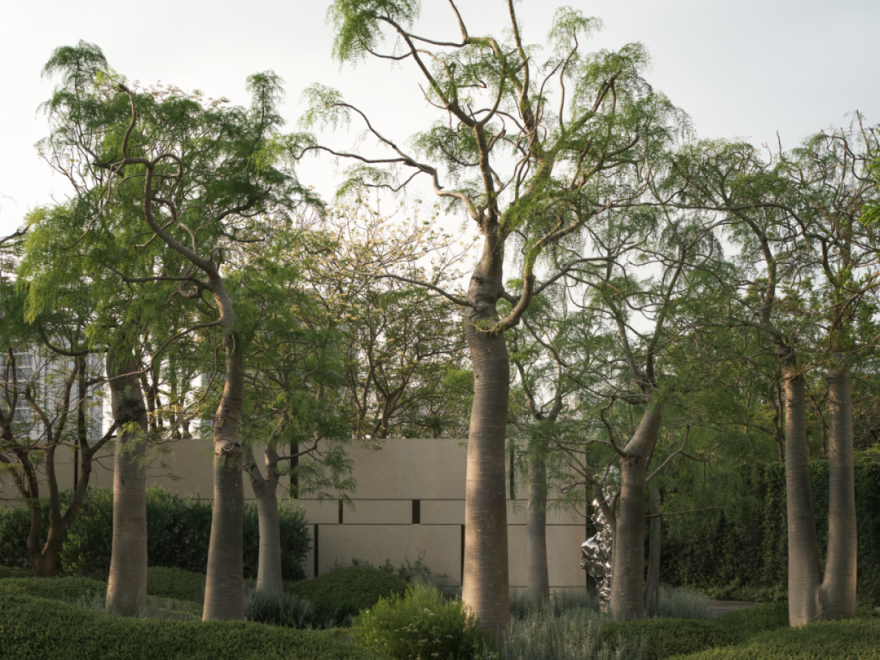 深圳后海招商玺丨中国深圳丨承迹景观Change Studio等多家公司-5