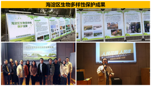 儿童友好空间优秀案例 | 休闲游憩类.04-50