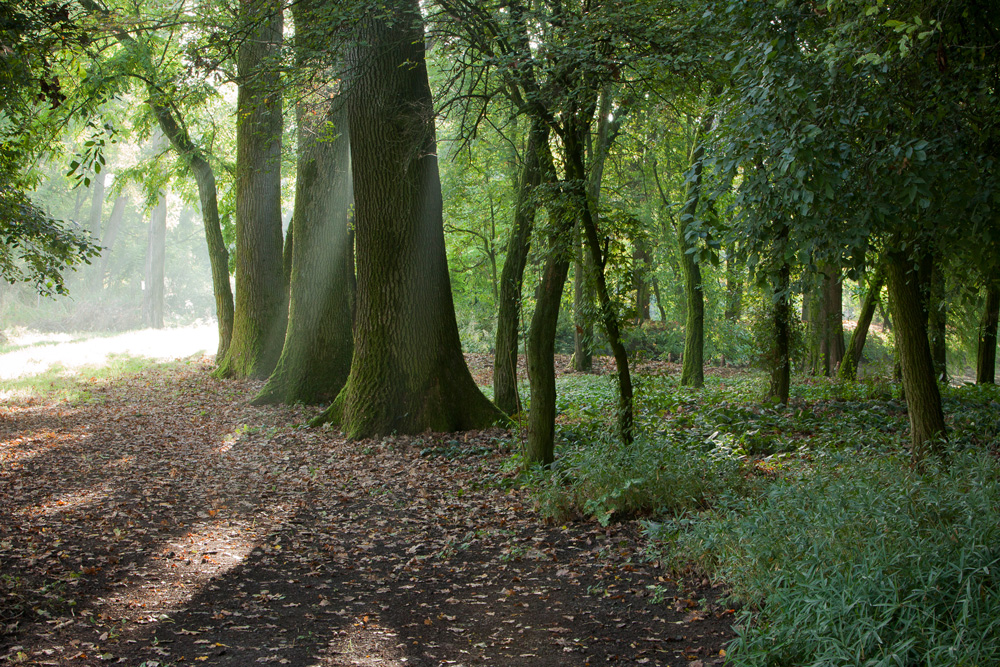 世界上最大的绿色迷宫丨意大利丨Pier Carlo Bontempi-20