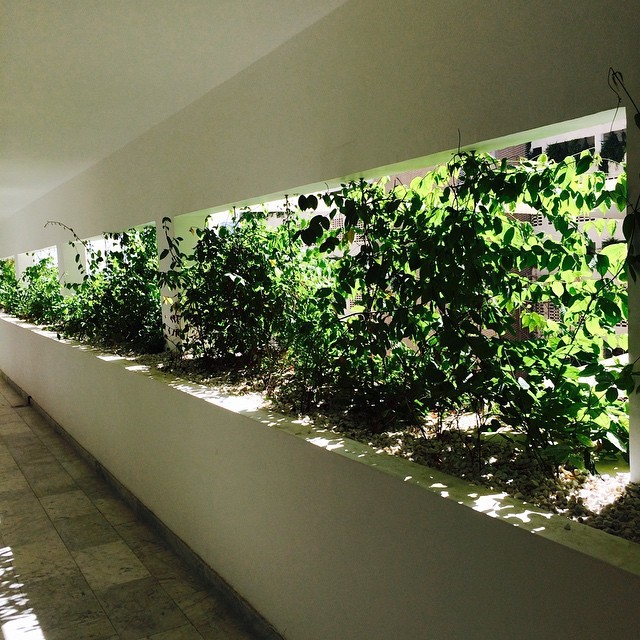 科威特明珠-- 马祖克情结公寓，融入环境，打造城市化新体验-20