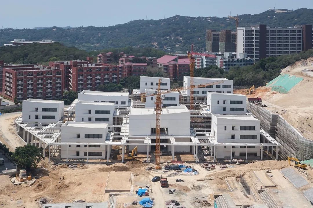 海边的“童年”高校 · 立木幼师学校丨立木 L&M-11