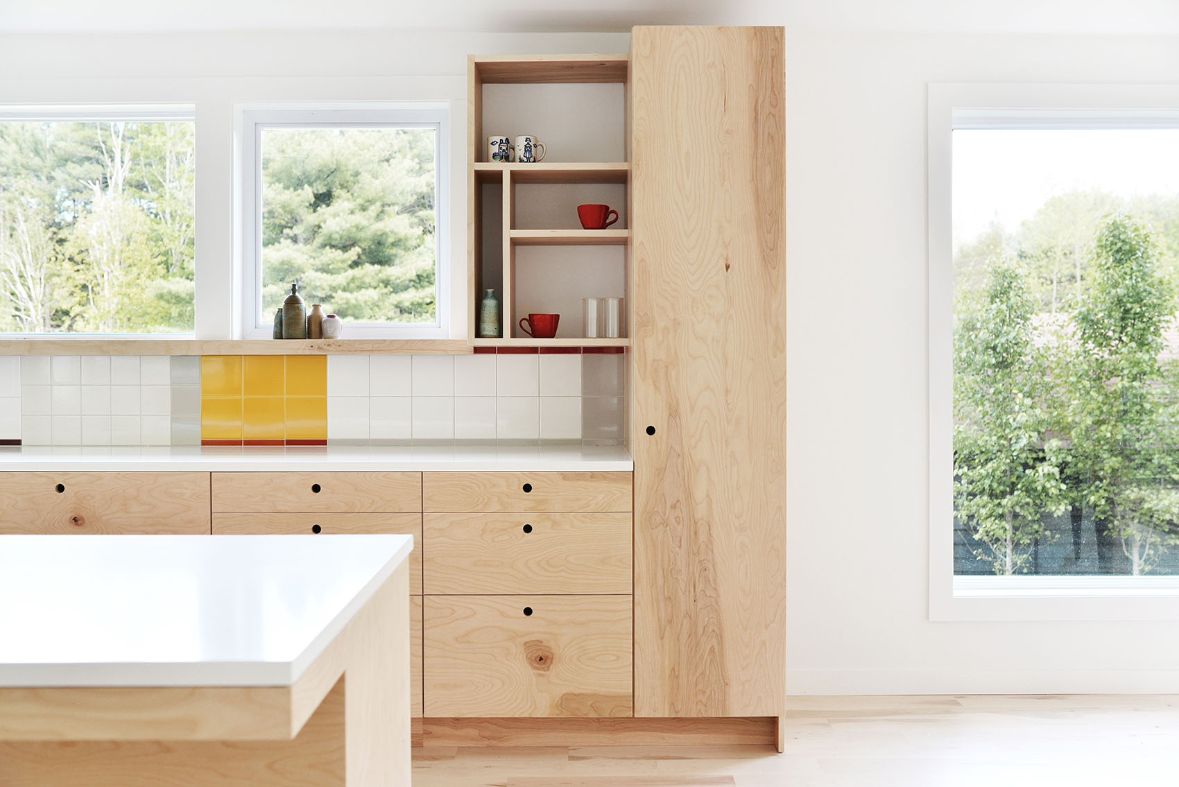 纽约Pine Lane之家丨美国纽约丨Ballman Khapalova事务所-18