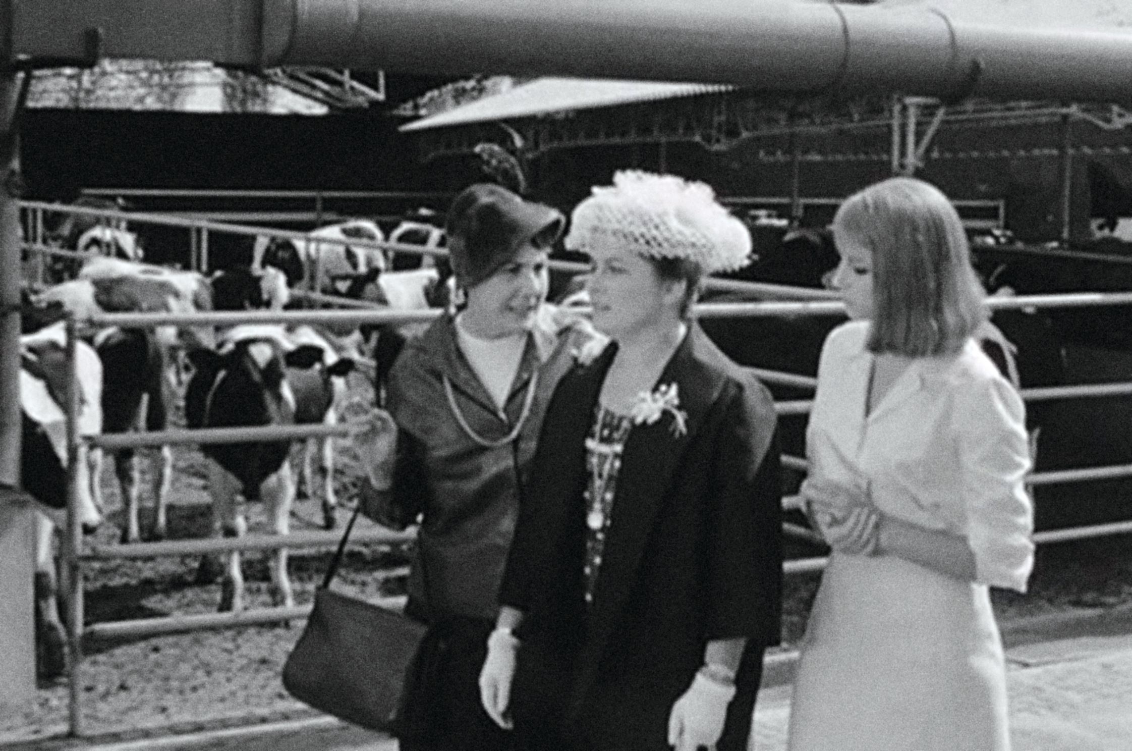 威尼斯双年展 2014 | 意大利之梦-161