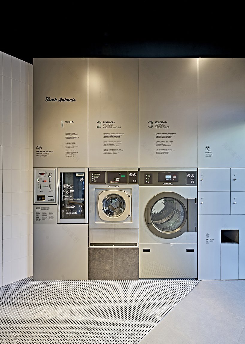 鲜活的动物丨西班牙巴塞罗那-7