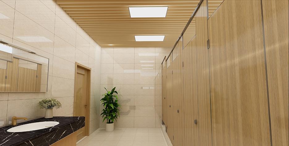 2018年德阳市市本级”厕所革命“-12